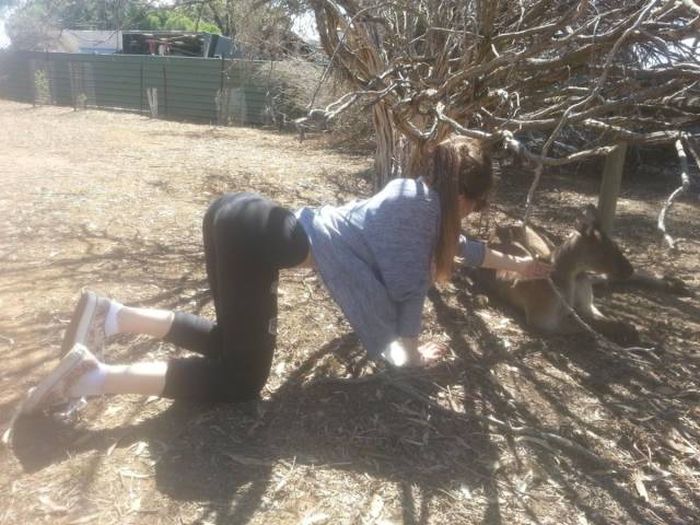 Acid Picdump (90 pics)