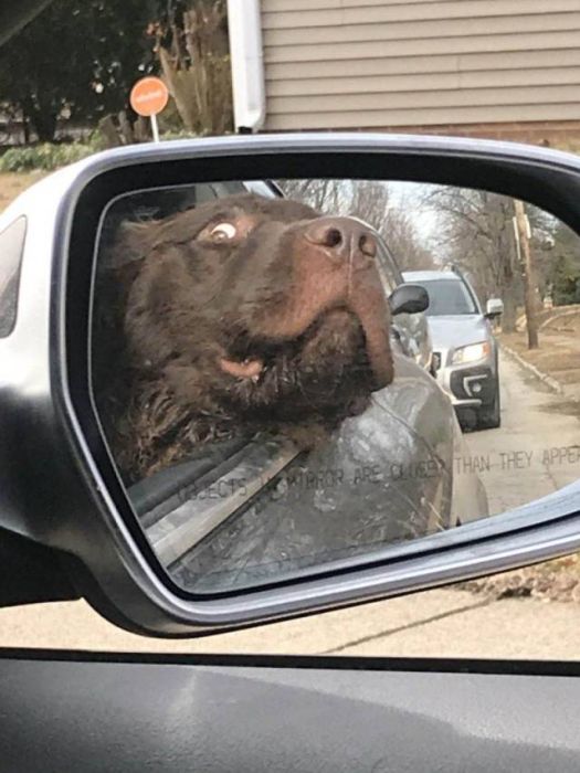 Acid Picdump (90 pics)
