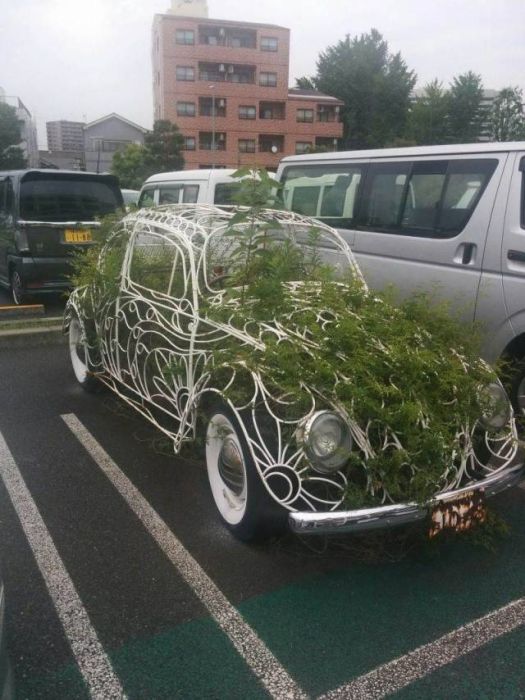 Acid Picdump (90 pics)