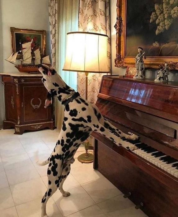 Acid Picdump (90 pics)