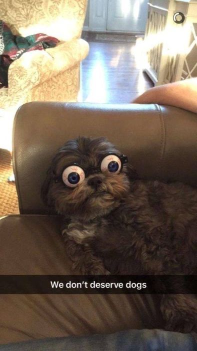 Acid Picdump (90 pics)