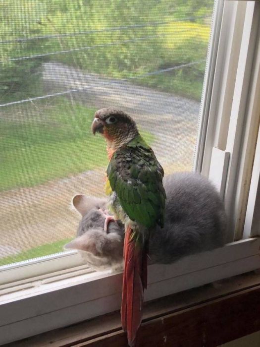 Acid Picdump (90 pics)