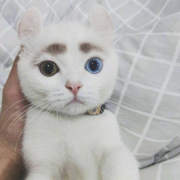 Acid Picdump (90 pics)