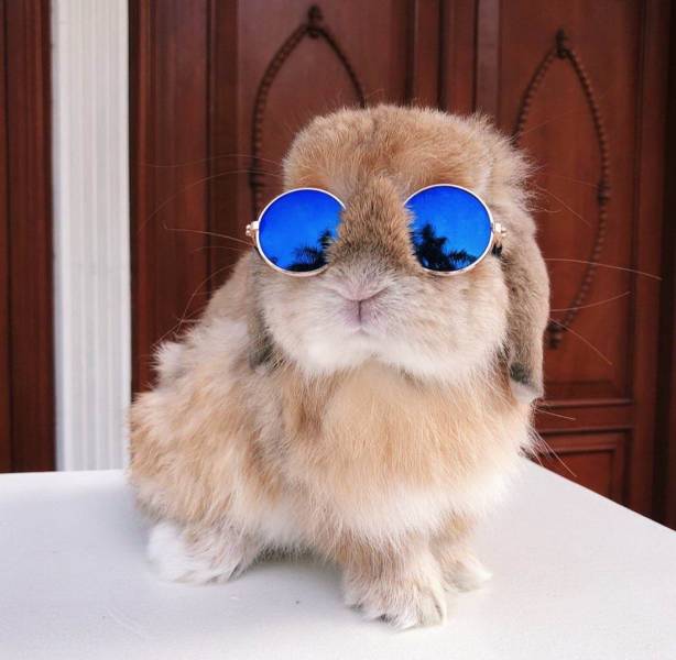 Acid Picdump (90 pics)