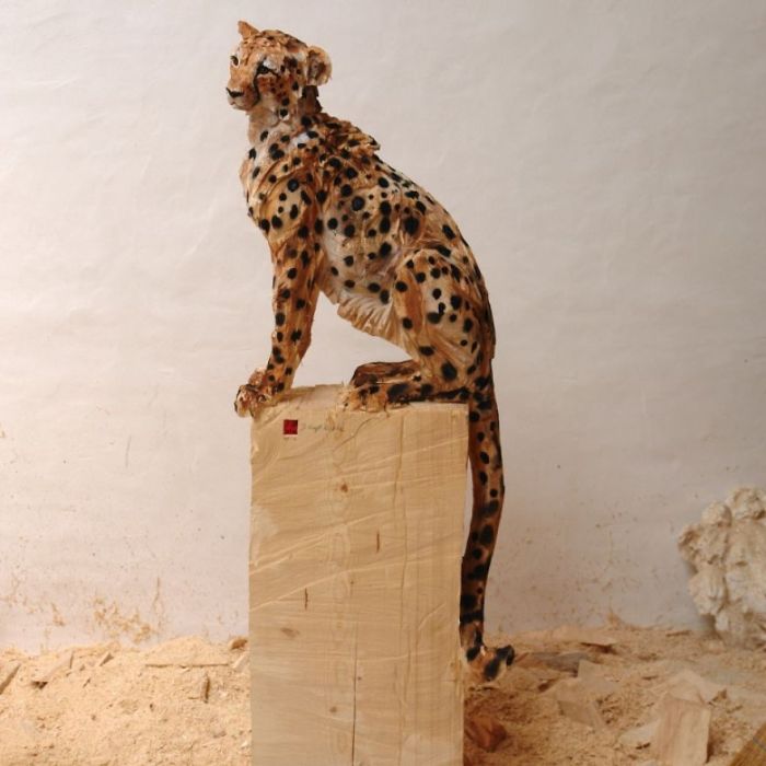 Artist Uses A Chainsaw To Carve Wood (20 pics)