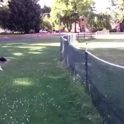 Everything Went As Planned (26 gifs)