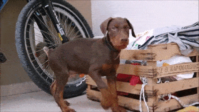 Everything Went As Planned (26 gifs)