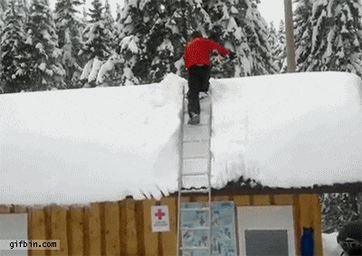 Everything Went As Planned (26 gifs)