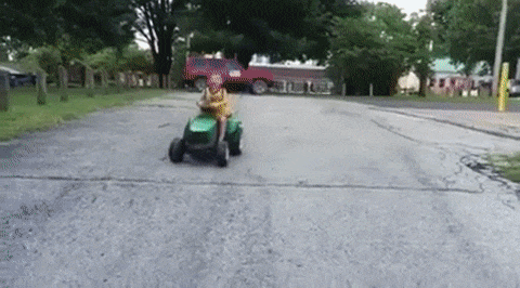 Everything Went As Planned (26 gifs)