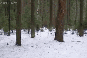 Everything Went As Planned (26 gifs)