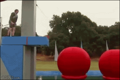 Everything Went As Planned (26 gifs)