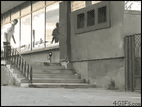 Everything Went As Planned (26 gifs)