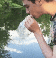 Acid Gifdump, August 08, 2018 (25 gifs)