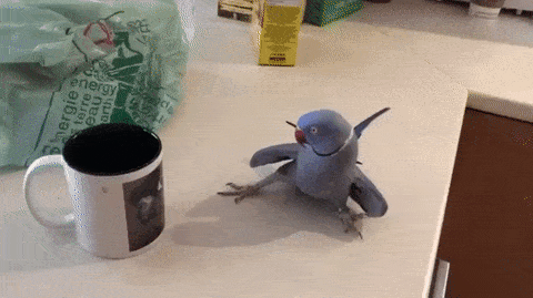 Acid Gifdump, August 08, 2018 (25 gifs)