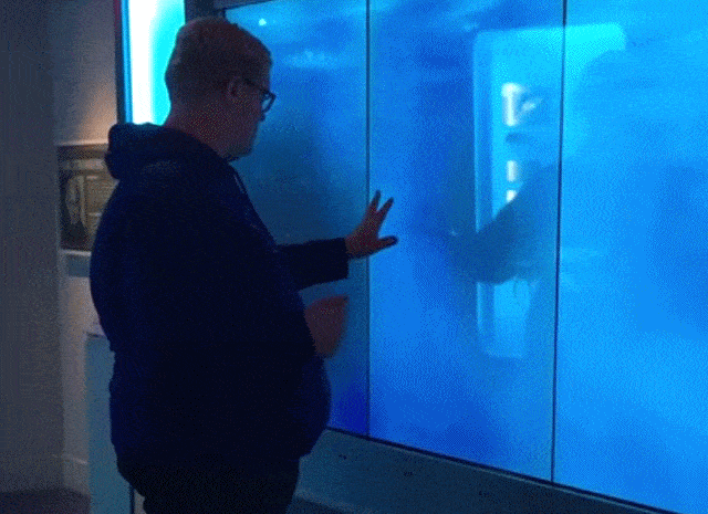 Acid Gifdump, August 08, 2018 (25 gifs)