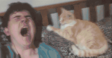 Acid Gifdump, August 08, 2018 (25 gifs)
