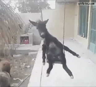 Acid Gifdump, August 08, 2018 (25 gifs)