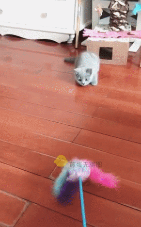 Acid Gifdump, August 08, 2018 (25 gifs)