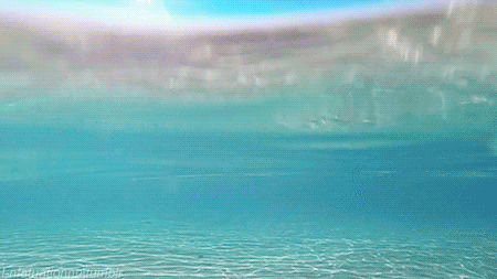 Acid Gifdump, August 08, 2018 (25 gifs)