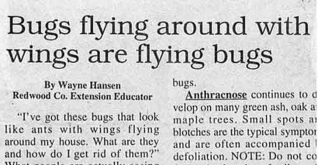 Funny Stuff In Newspapers (25 pics)