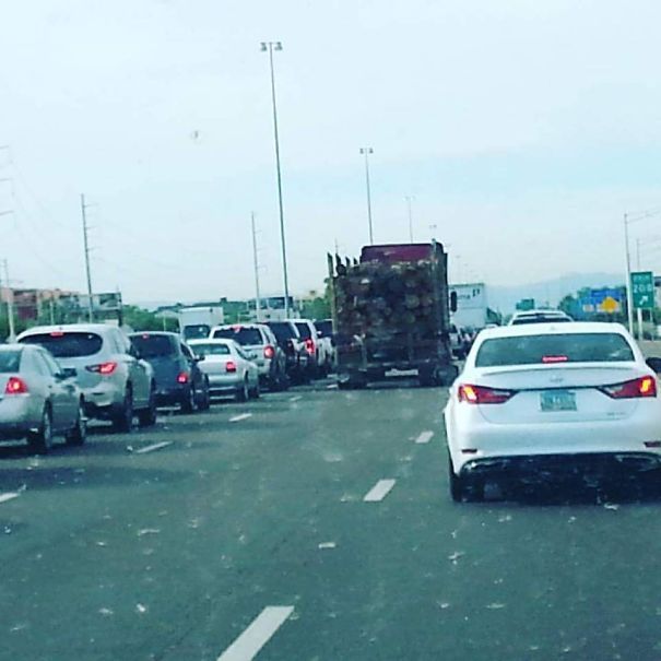 You Don't See It On The Road Very Often (30 pics)