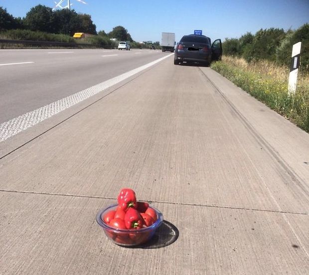 You Don't See It On The Road Very Often (30 pics)