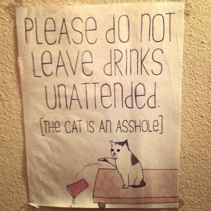 Funny Things About Drinking (45 pics)