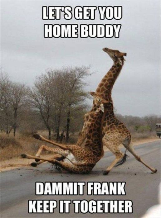 Funny Things About Drinking (45 pics)