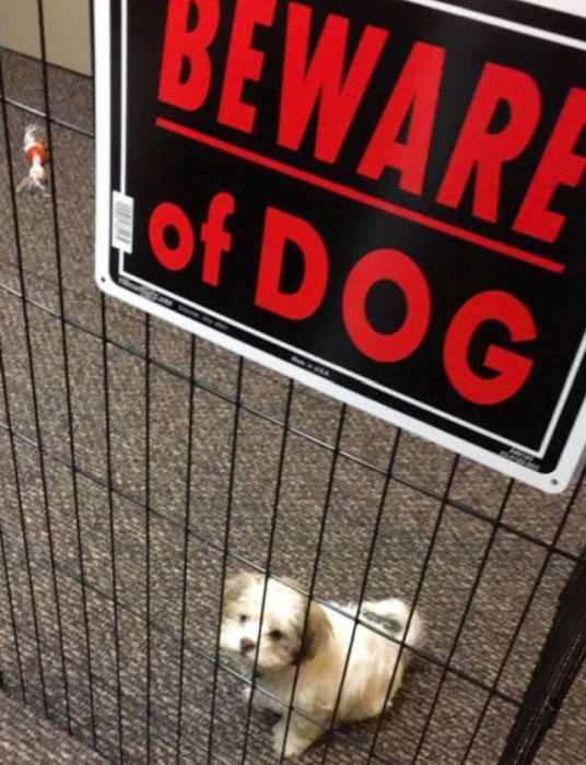Acid Picdump (104 pics)