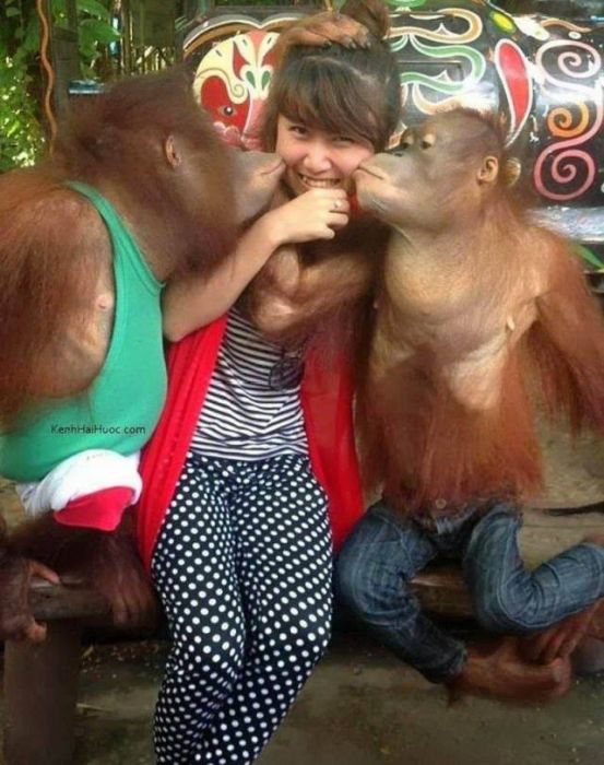 Acid Picdump (104 pics)