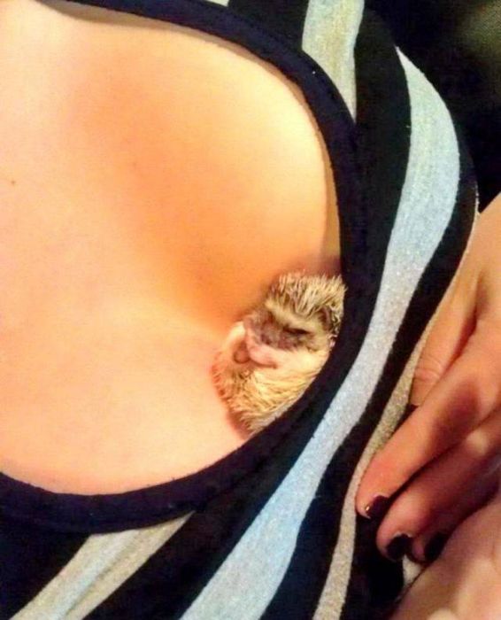 Acid Picdump (104 pics)