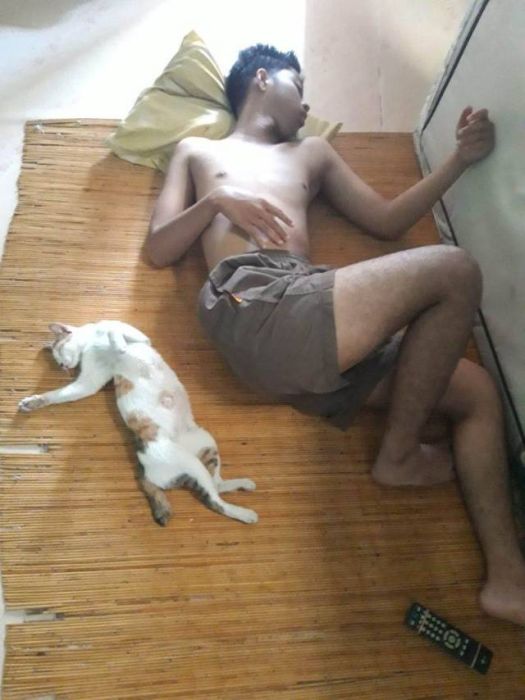 Acid Picdump (104 pics)
