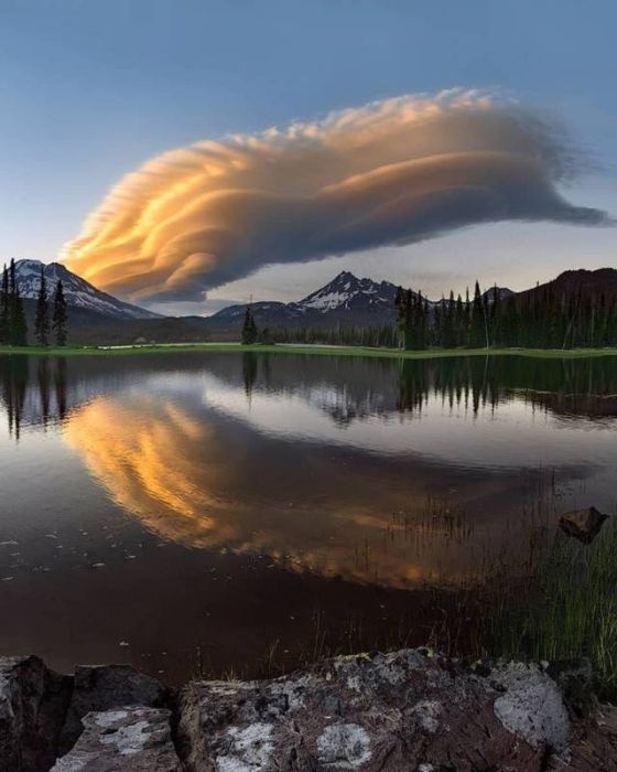 Acid Picdump (104 pics)