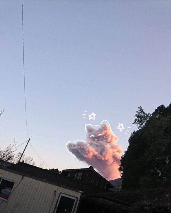 Acid Picdump (104 pics)