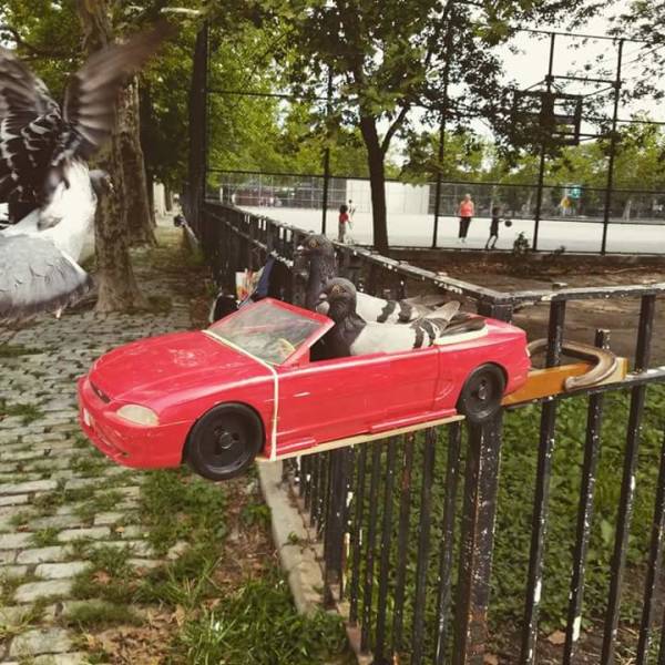 Acid Picdump (104 pics)
