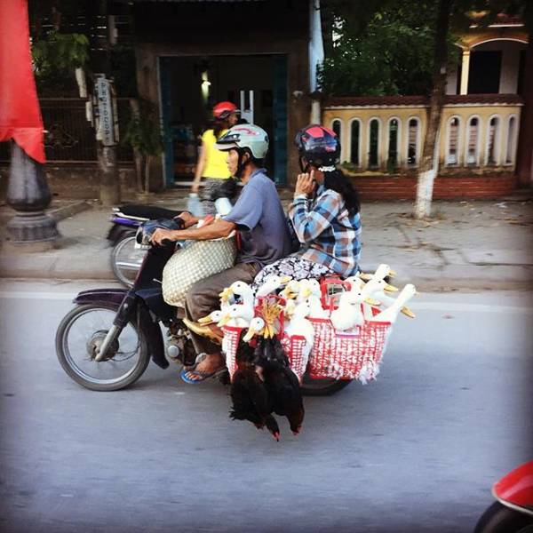 Acid Picdump (104 pics)