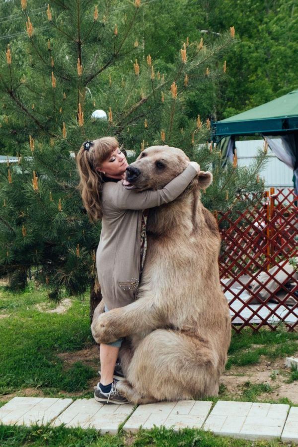 Russian Pet Bear (7 pics)