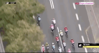 Did You Expect That? (30 gifs)