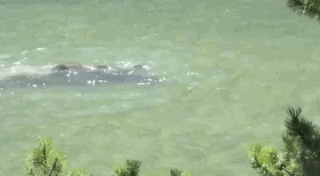 Did You Expect That? (30 gifs)