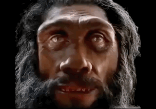 Did You Expect That? (30 gifs)