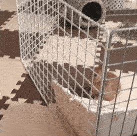 Did You Expect That? (30 gifs)