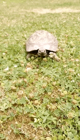 Did You Expect That? (30 gifs)