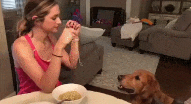 Acid Gifdump, August 09, 2018 (25 gifs)