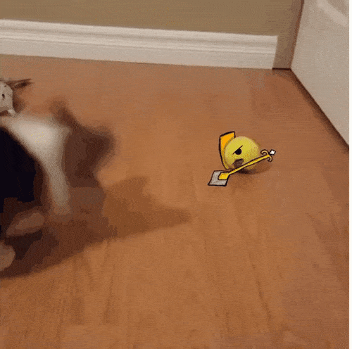 Acid Gifdump, August 09, 2018 (25 gifs)