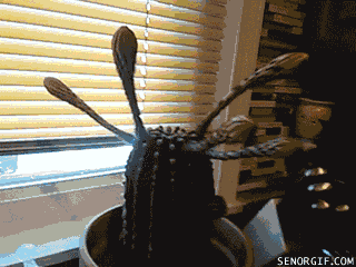 Acid Gifdump, August 09, 2018 (25 gifs)