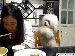 Acid Gifdump, August 09, 2018 (25 gifs)