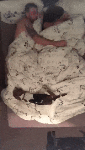 Acid Gifdump, August 09, 2018 (25 gifs)
