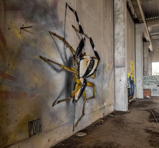 Street Art by Odeith (9 pics)