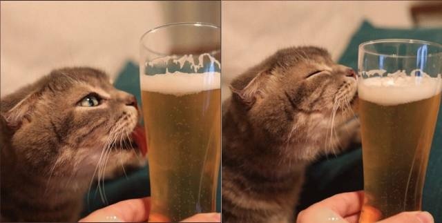 Acid Picdump (92 pics)