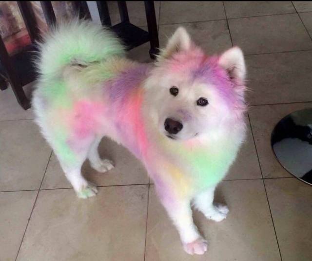 Acid Picdump (92 pics)